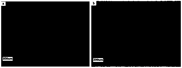 Preparation method for polybutylene succinate/graphene-molybdenum-disulfide-like nanocomposite material