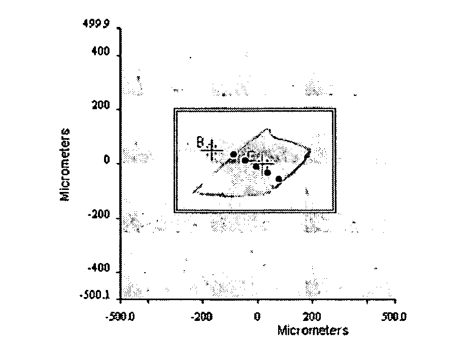 Water-absorbent polymer and process for producing the same