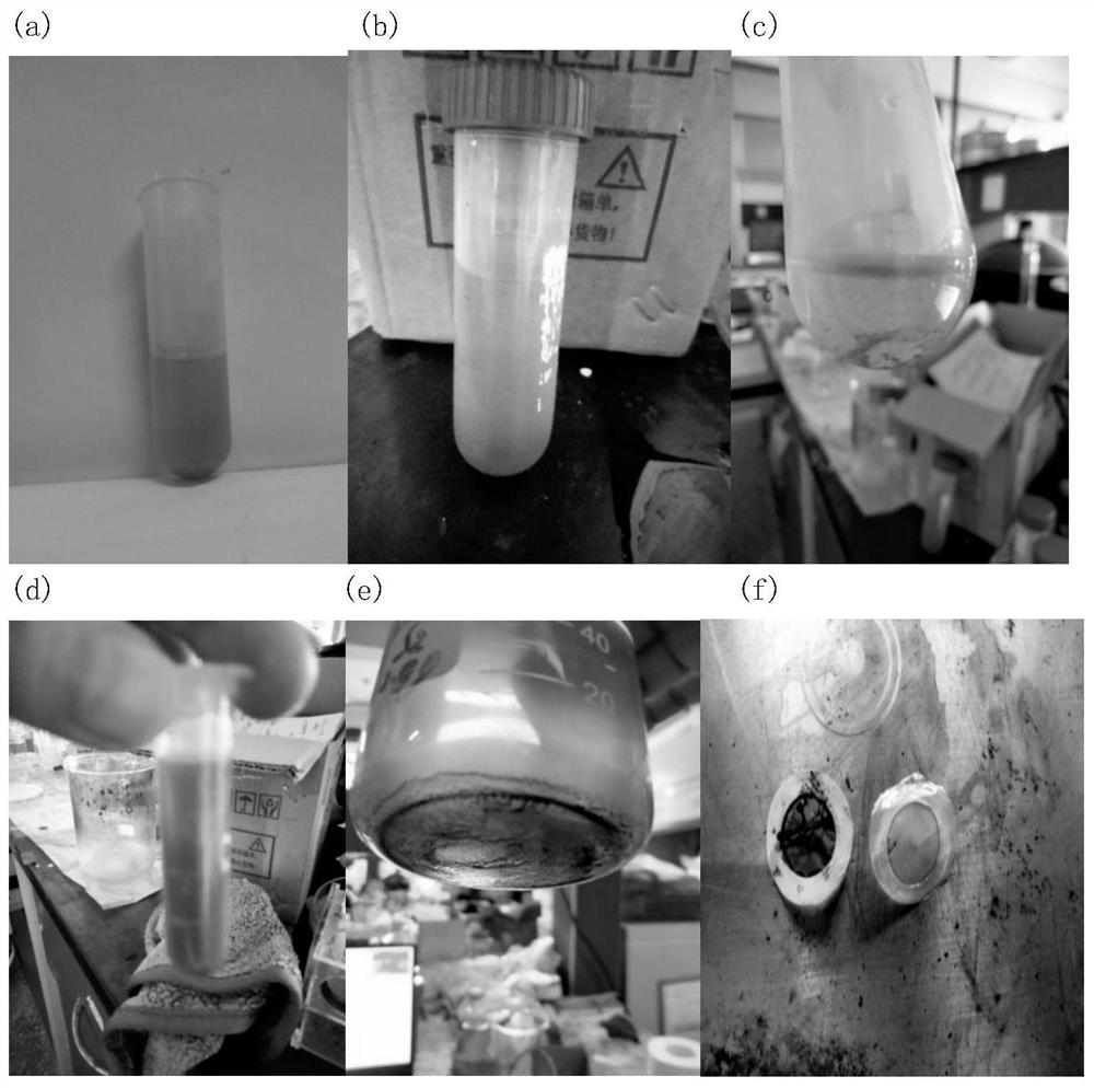 Erythrocyte membrane coated magnetic nanoparticles as well as preparation method and application thereof