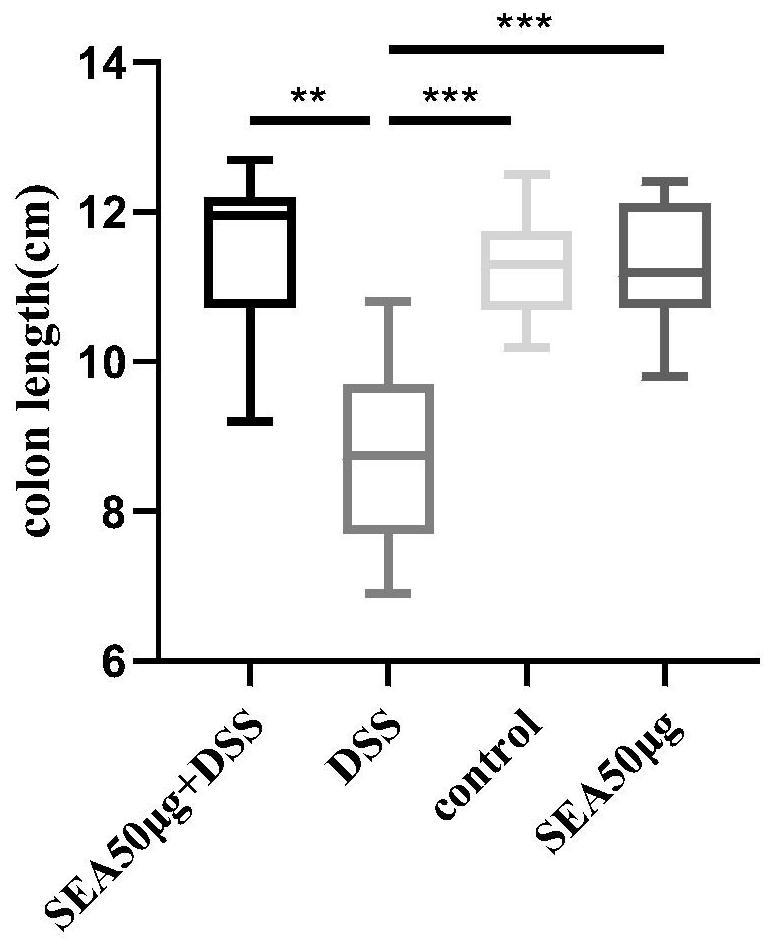 Application of SEA in preparation of drugs for treating inflammatory bowel diseases and biomarker for detecting curative effect of inflammatory bowel diseases