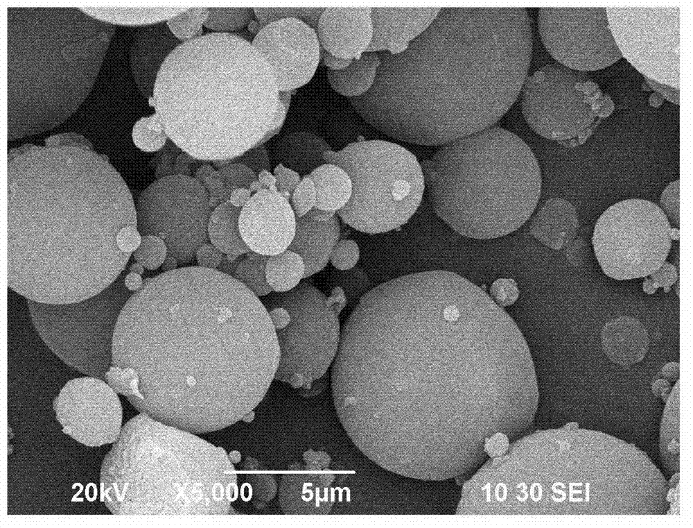 Cortex moutan microcapsule for treating allergic dermatitis, and preparation method and application thereof