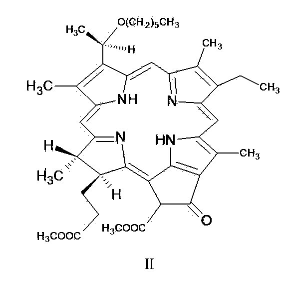 Novel photosensitizer monomer completely soluble in water, and preparation method and application thereof