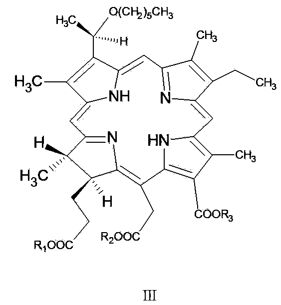 Novel photosensitizer monomer completely soluble in water, and preparation method and application thereof