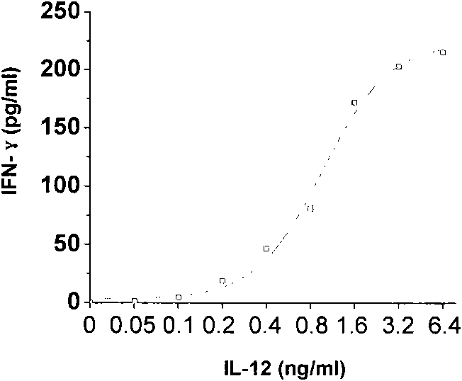 Method for detecting activity of recombinant human interleukin 12 (rhIL-12) protein