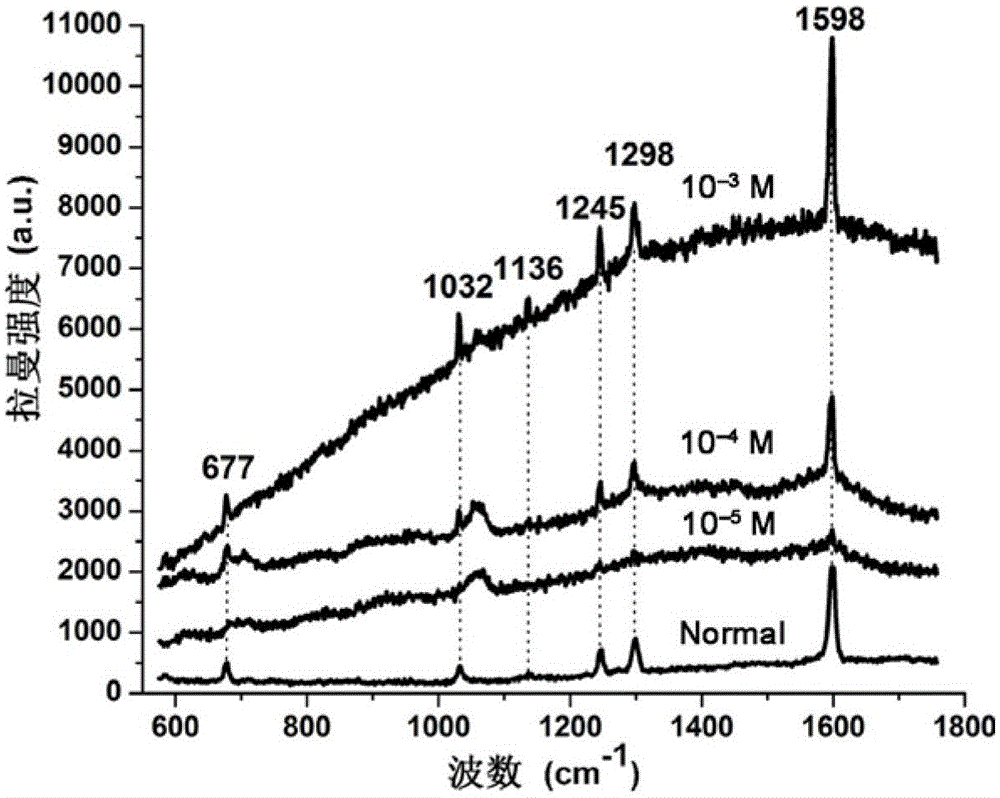 Silver nanocolumn array vertically at the hole of porous alumina template and its preparation method and application