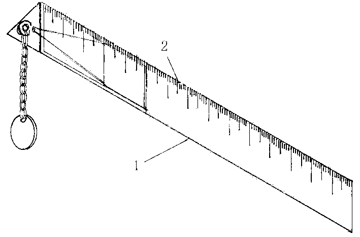 Pen with ruler function