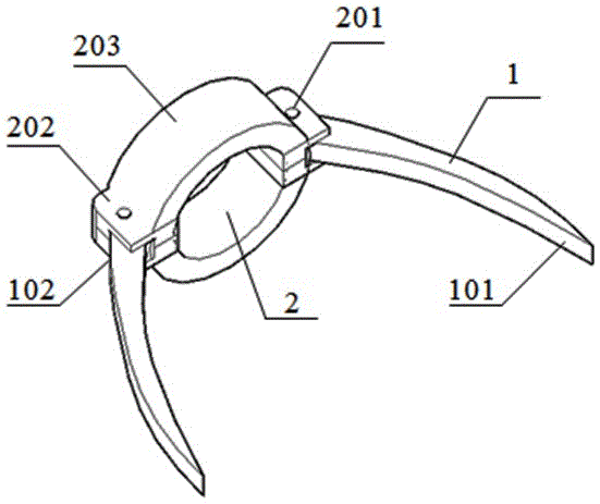 Fishbone-shaped anchor rod