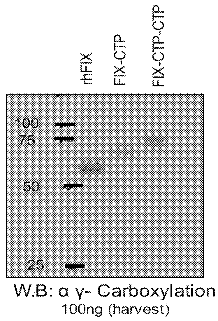 Long-acting coagulation factors and methods of producing same