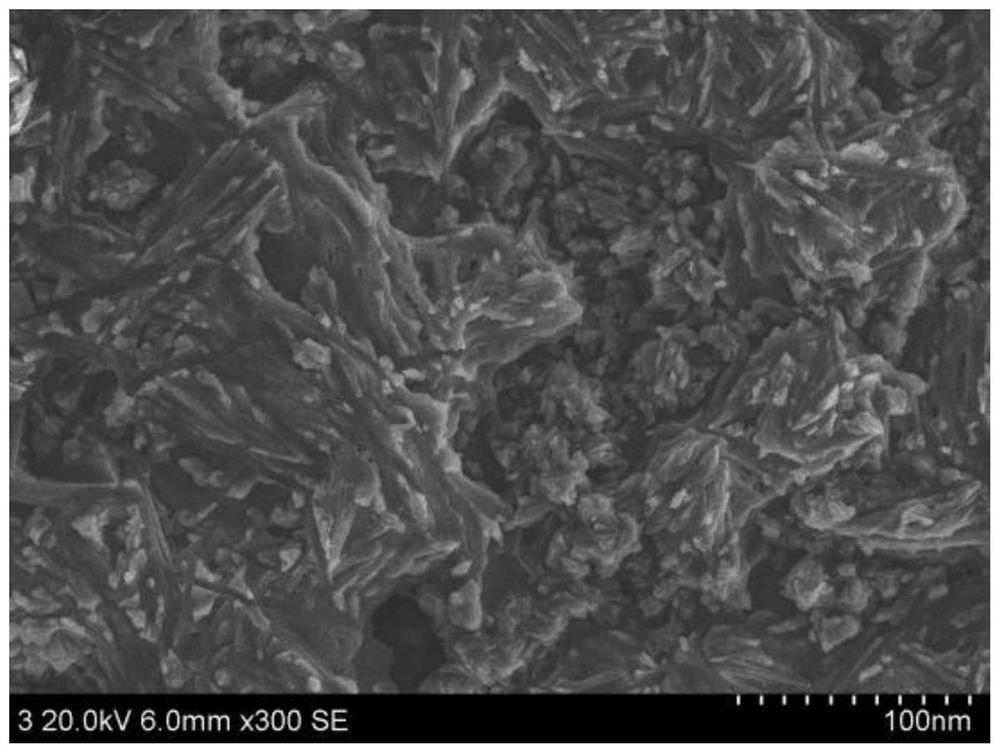 Polyether-ether-ketone multi-element nano lubricating composite material as well as preparation method and application thereof