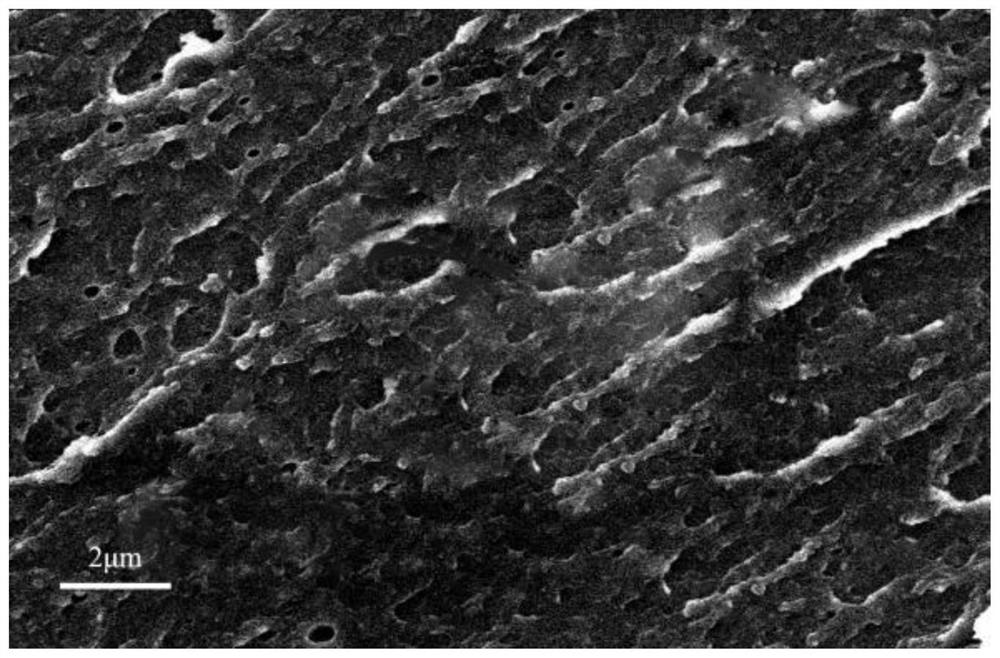 Polyether-ether-ketone multi-element nano lubricating composite material as well as preparation method and application thereof