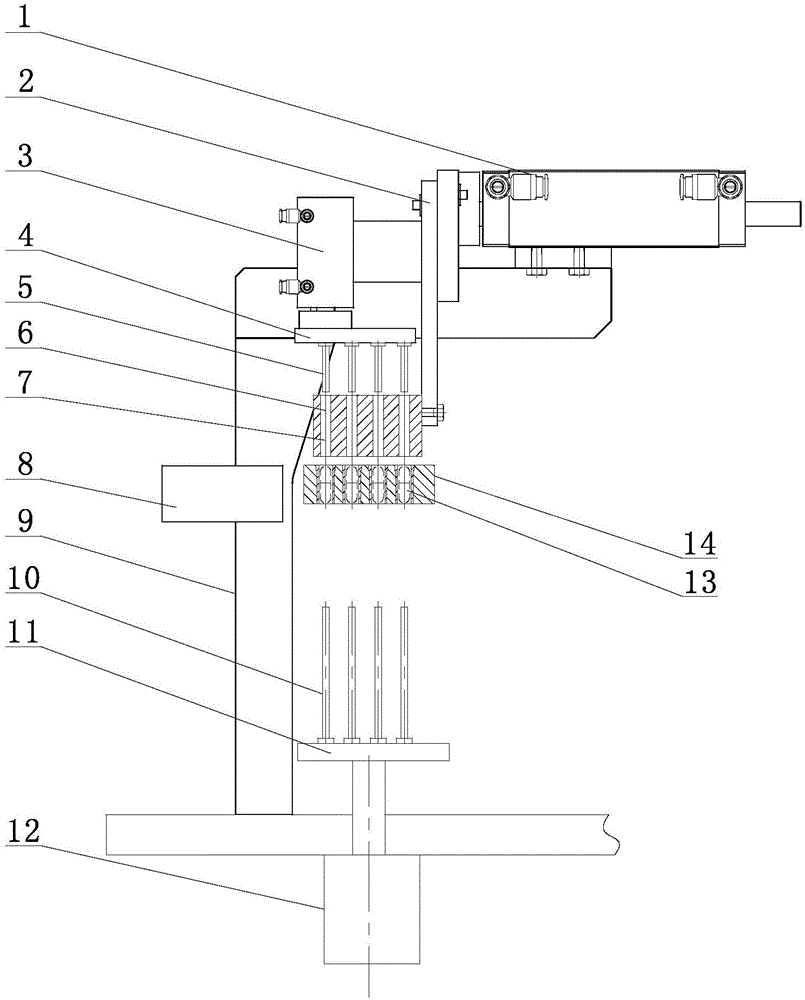 Sampling device for solid hard capsule