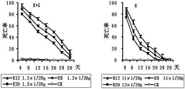 Method for controlling grain pest by using essential oil