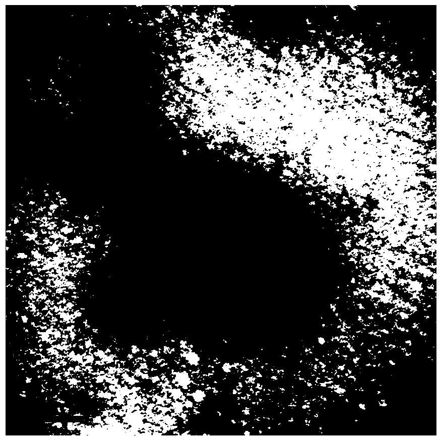 A poisonous microcarbon algae crack algae and its separation method and application