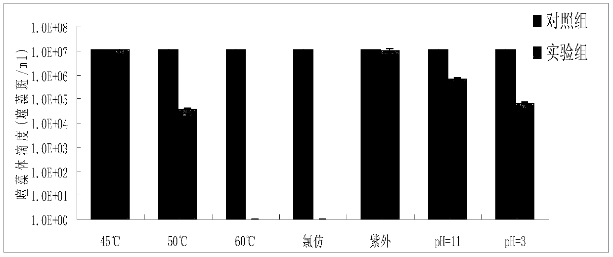 A poisonous microcarbon algae crack algae and its separation method and application