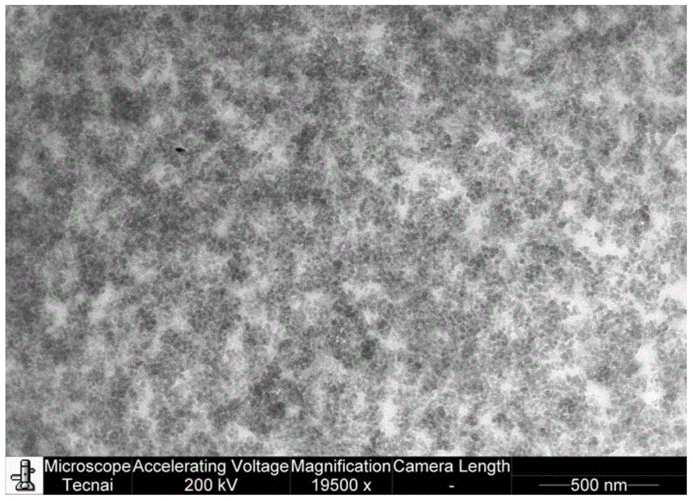 Itaconate/butadiene copolymer type bioengineering rubber and preparation method thereof