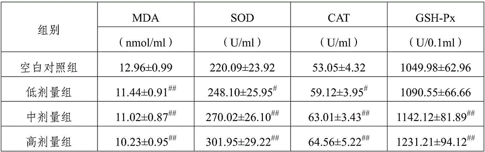 Fermentation grape extract, preparing method of fermentation grape extract and preparation containing fermentation grape extract