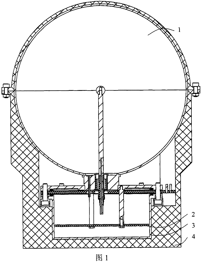 Detector device used for radiation monitoring