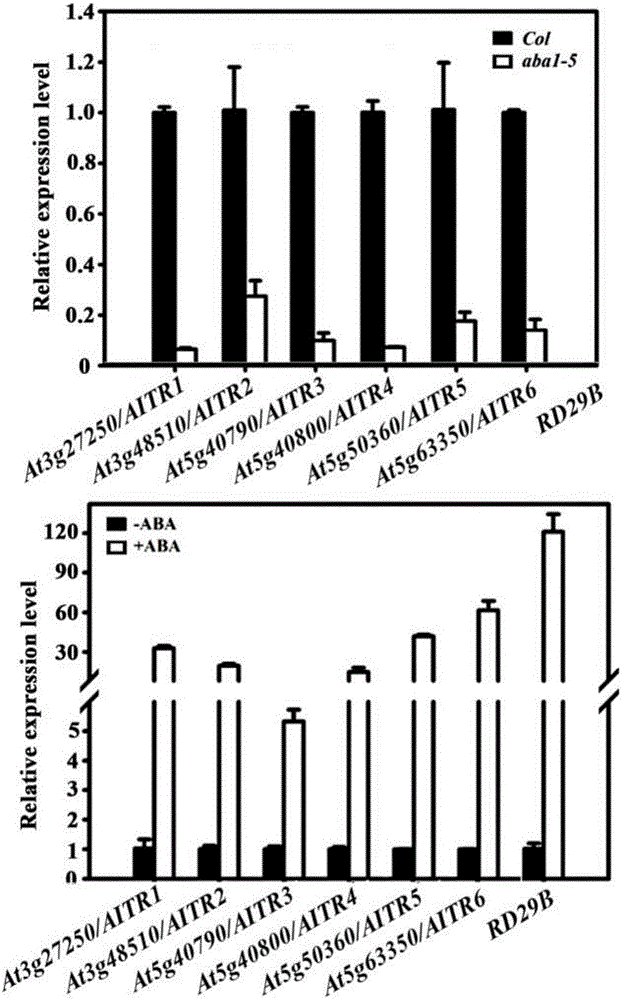 Transcription inhibitor family gene and application thereof