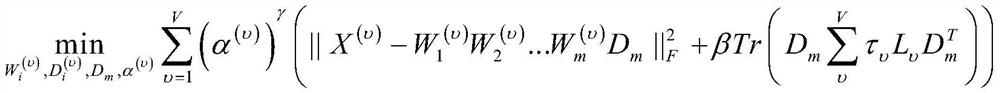 A multi-graph regularized deep matrix factorization method for multi-view clustering