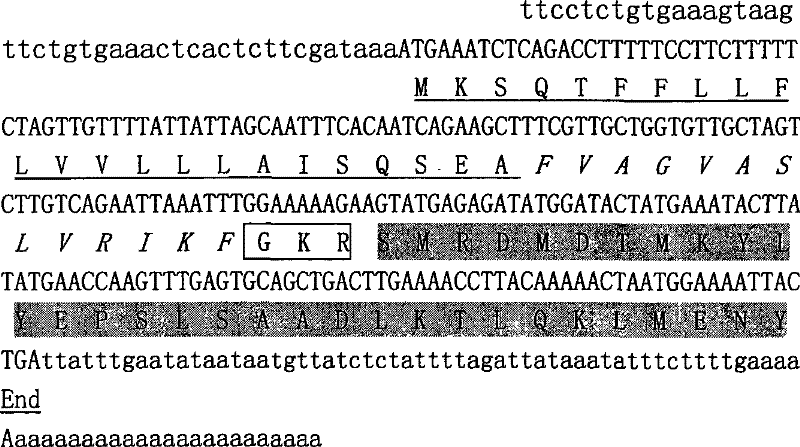 Polypeptides of anti-measles virus and human immunodeficiency virus and use