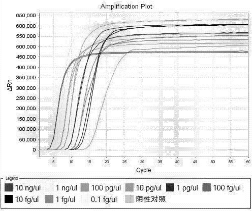 Vibrio parahaemolyticus constant-temperature detection primer set, detection kit and detection method capable of avoiding false negative detection result