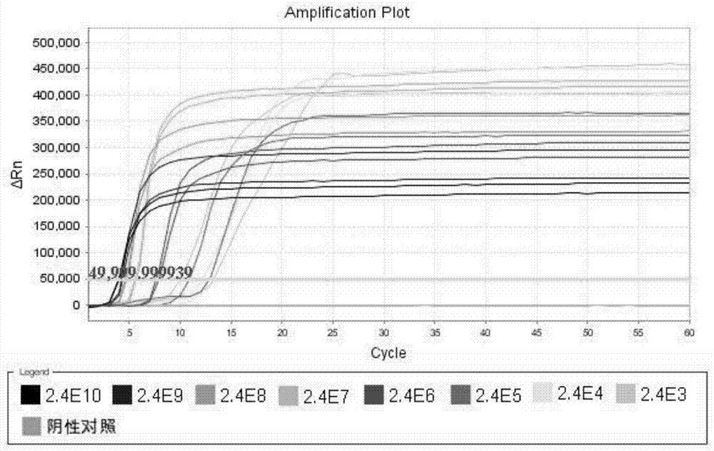 Vibrio parahaemolyticus constant-temperature detection primer set, detection kit and detection method capable of avoiding false negative detection result