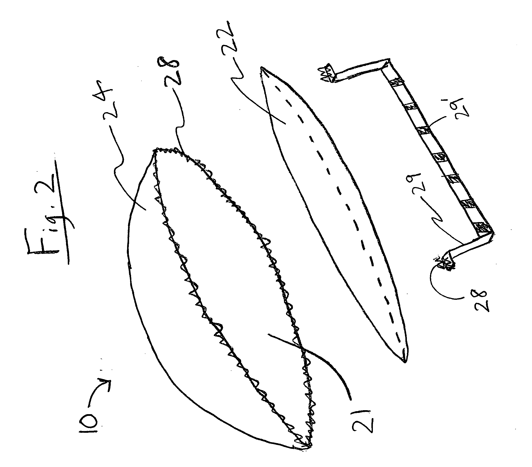 Hemostatic agent delivery system