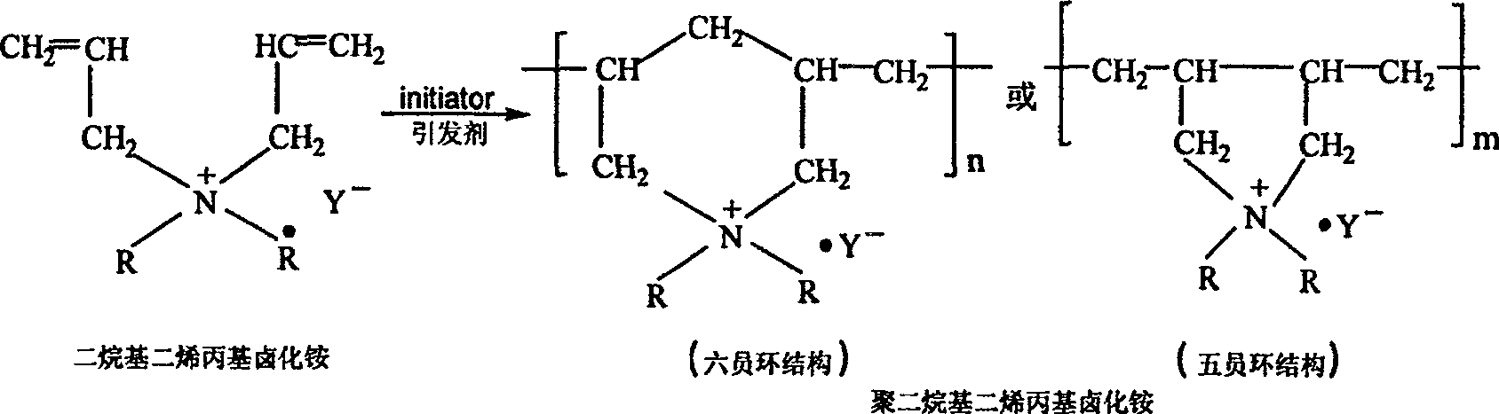 Preparation method of poly dialkyl diallyl ammonium halide