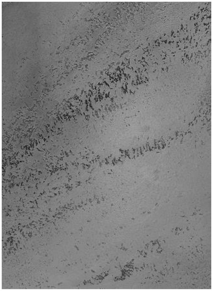 Sand-containing glaze coating as well as preparation method and application thereof