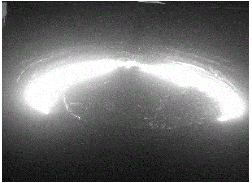 Modifying agent for calcium-series steel ladle slag and application method thereof