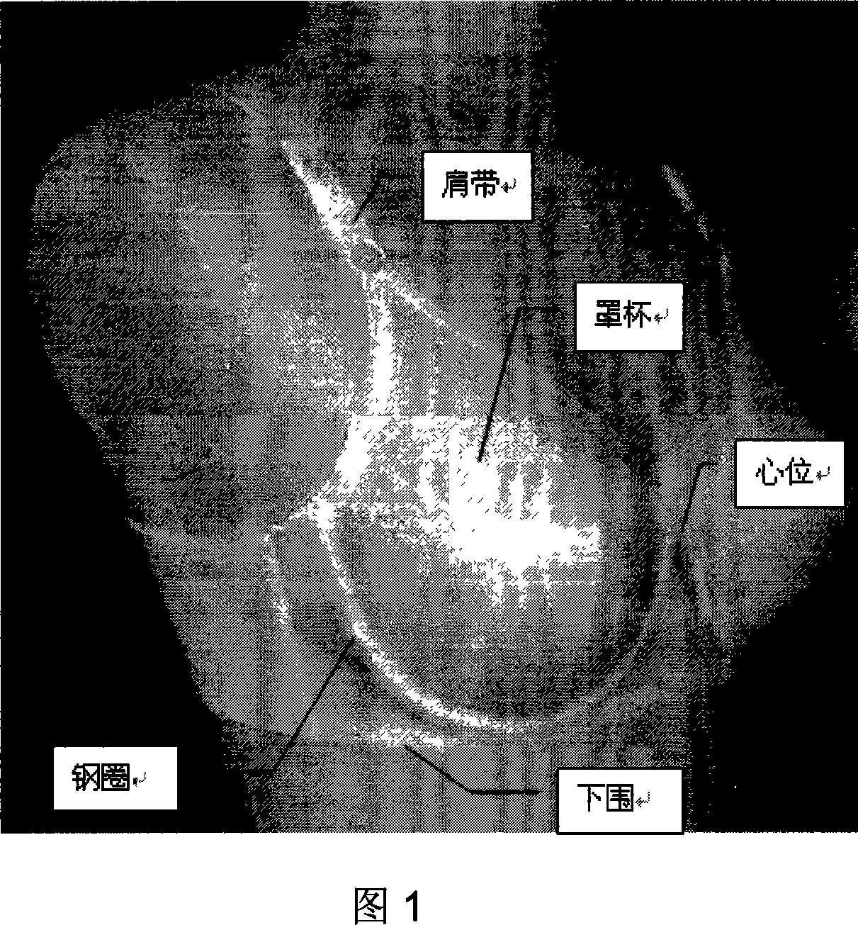 Method for colligated judging of the fitness of the bra on the basis of layer analysis