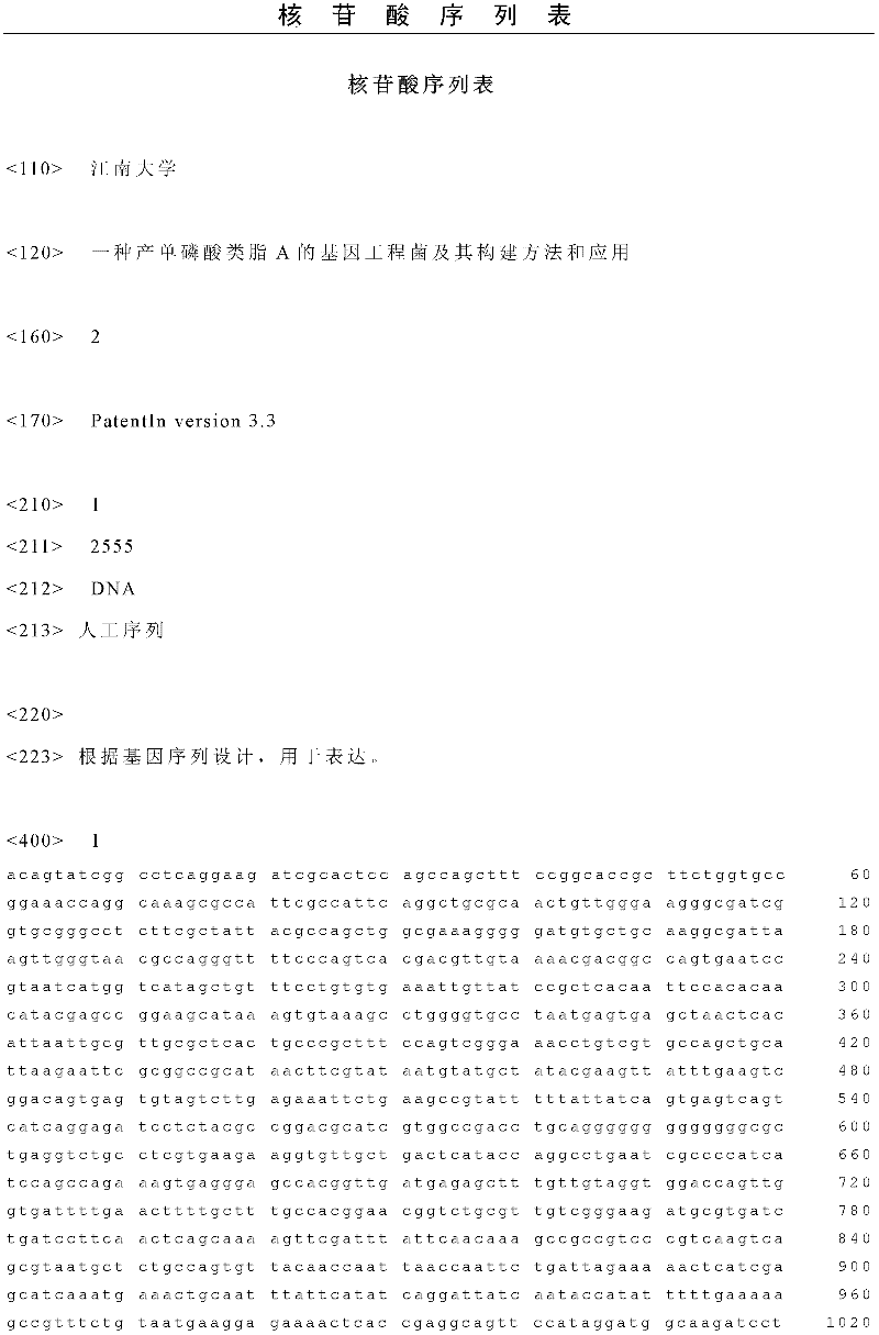 Genetic engineering bacterium for producing monophosphoryl lipid A as well as construction method and application thereof