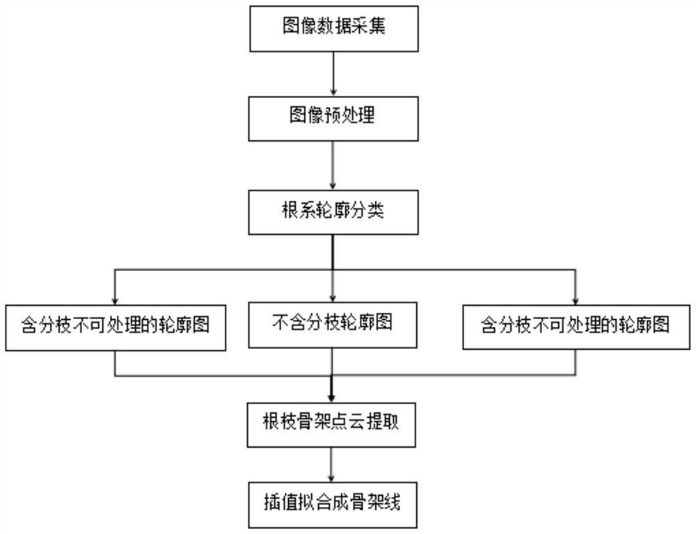 A skeleton extraction method of plant root branching characteristics