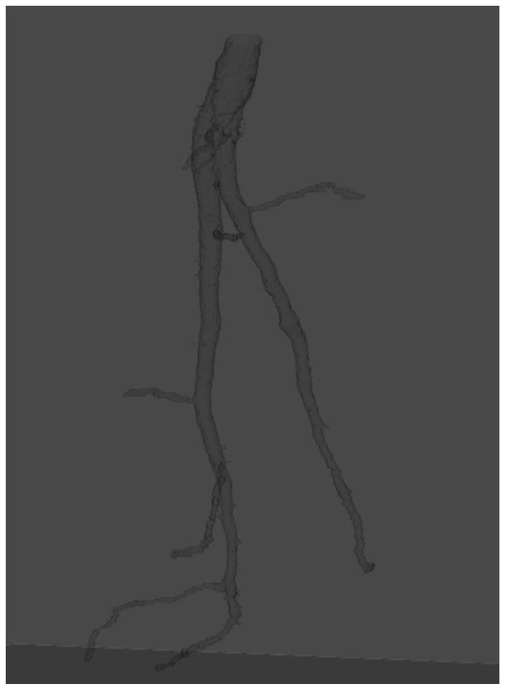 A skeleton extraction method of plant root branching characteristics