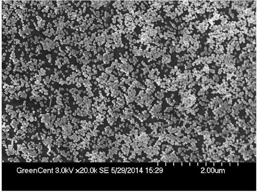 Flexible erasable SERS (surface-enhanced Raman scattering) active substrate and preparation method thereof