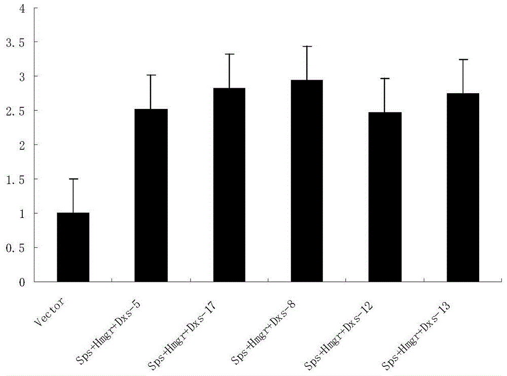 Method for cultivating sweet wormwood herb with high artemisinin content in flower buds by co-transforming Sps, Hmgr and Dxs genes