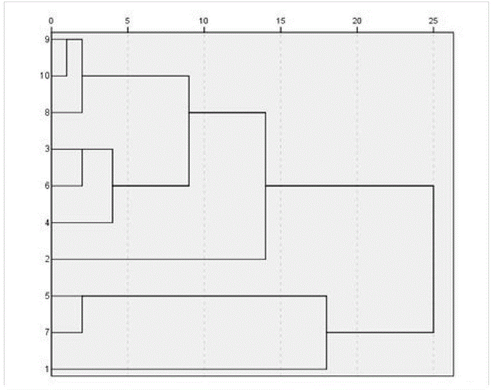 Establishment method of curcuma aromatica medicine fingerprint map and the fingerprint map thereof