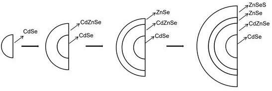 Selenium element penetrating core-shell structure quantum dot and preparation method thereof