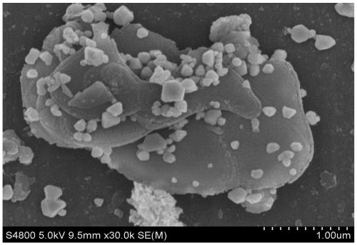 Preparation method of VS2/CdS composite photocatalyst