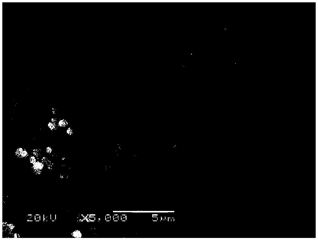 Fixing agent for repairing arsenic-polluted soil, and preparation and application method thereof