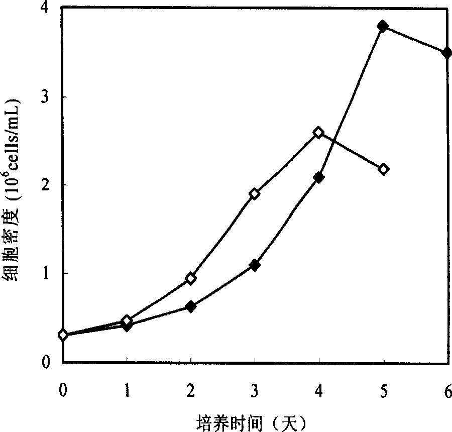 Serum-free culture medium of human embryo kidney (HEK) 293 cell