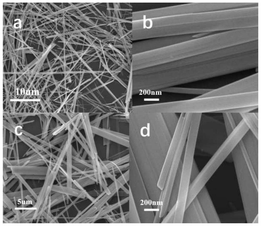 Silver-doped copper vanadate composite photocatalytic material, preparation method thereof and application of silver-doped copper vanadate composite photocatalytic material as carbon dioxide reduction photocatalyst