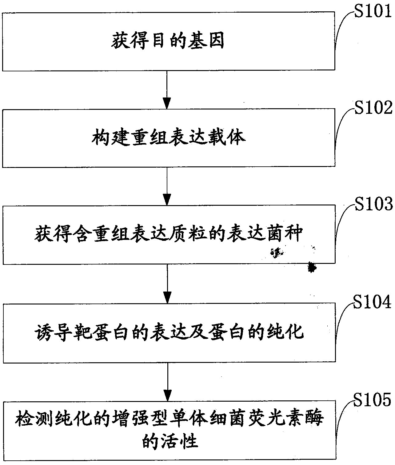 Method for preparing enhanced monomeric bacterial luciferase luxAB