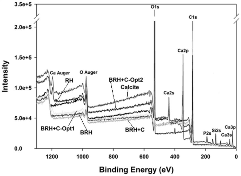 Carbon-based adsorbent for removing phosphate in solution