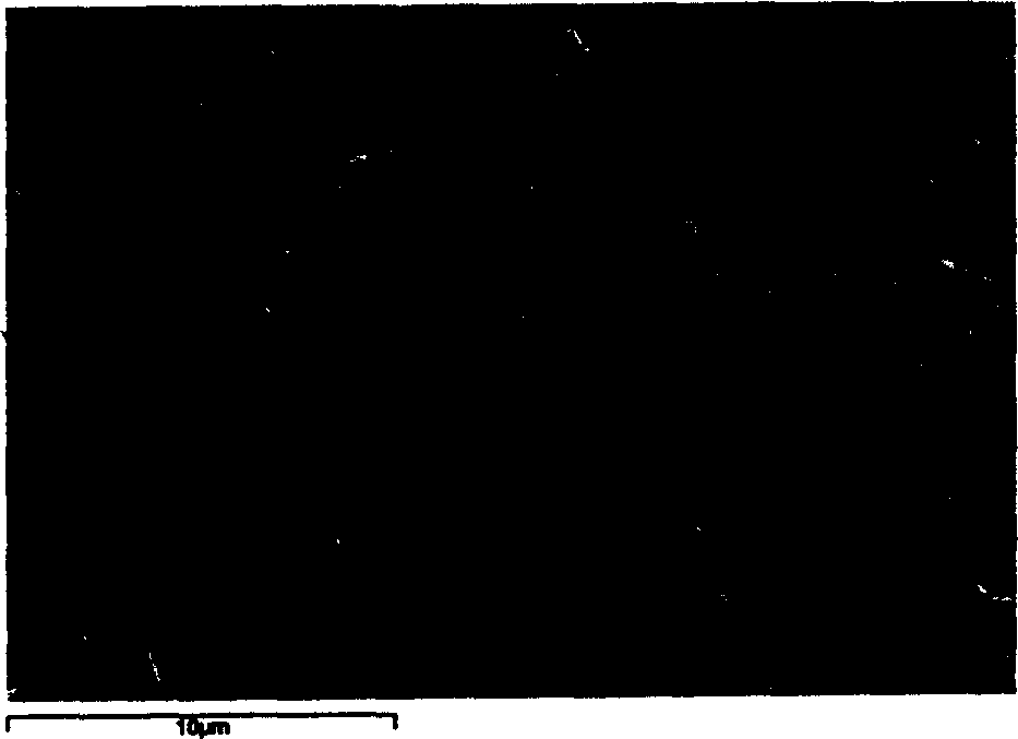 Aluminum magnesium oxynitride/boron nitride diphase refractory materials and preparing process thereof