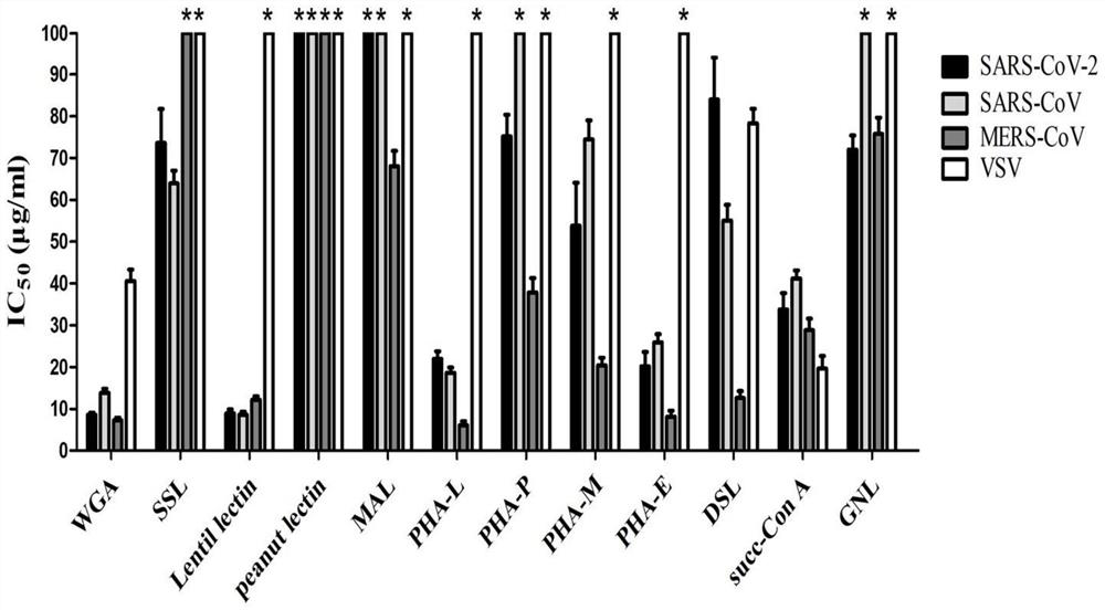 Application of wheat germ agglutinin to preparation of product for inhibiting coronavirus