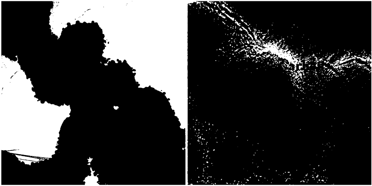 A solvent-free method for preparing nitrogen-enriched carbon-coated cobalt-containing compounds