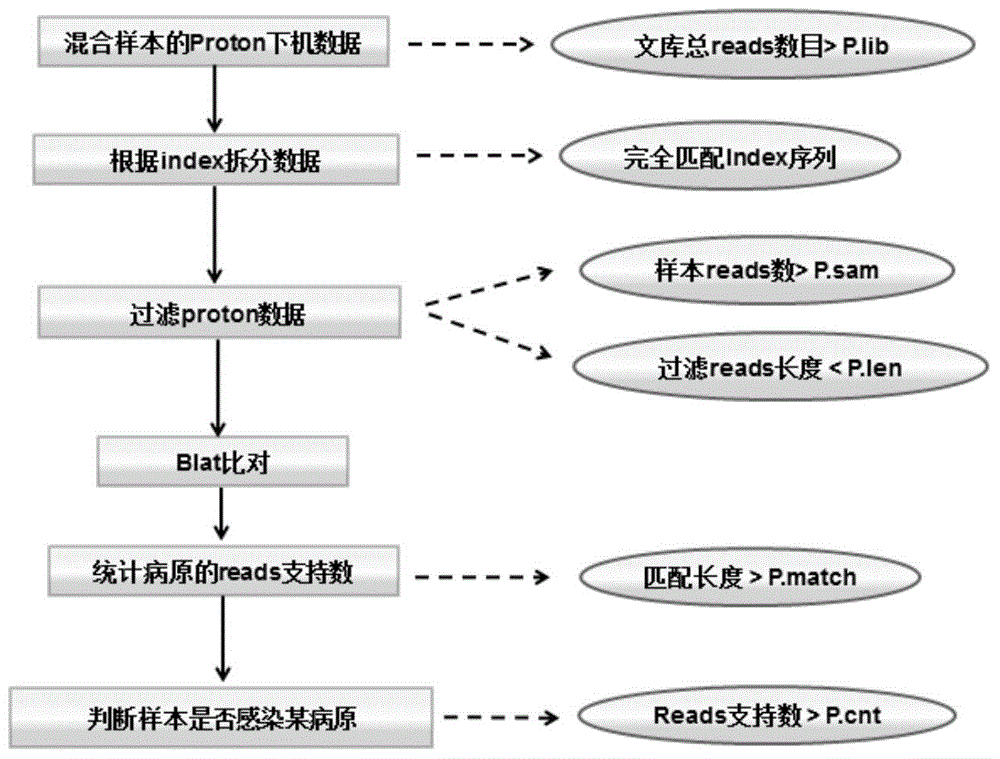 Blood screening kit, blood screening method and blood screening device