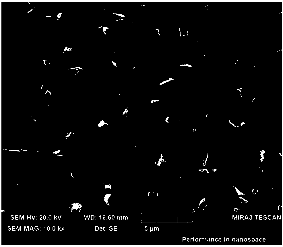 Heterojunction thin film composed of same metals and oxygen family elements as well as preparation and application thereof