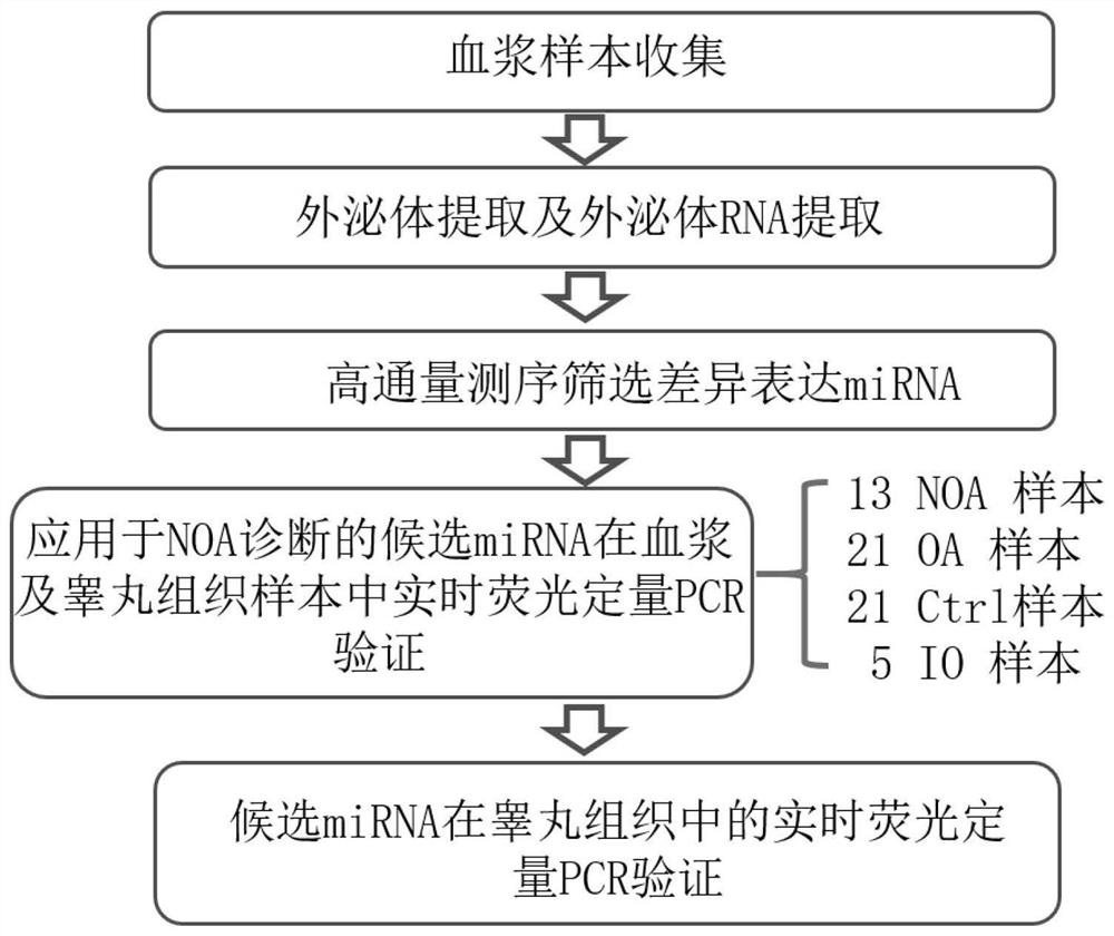 Plasma exosome miRNA markers related to diagnosis of primary non-obstructive azoospermia and application thereof